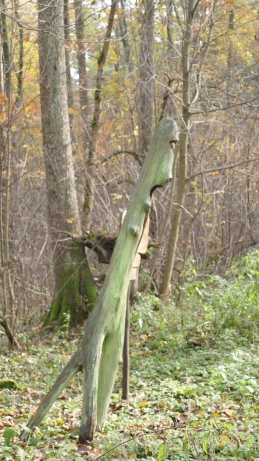 Warminskie Mieszkanko Biskupiec  Bagian luar foto